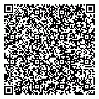 vCard 79807290704