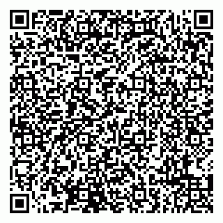 vCard 79807290705