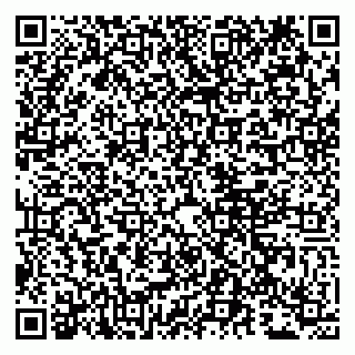 vCard 79807290708