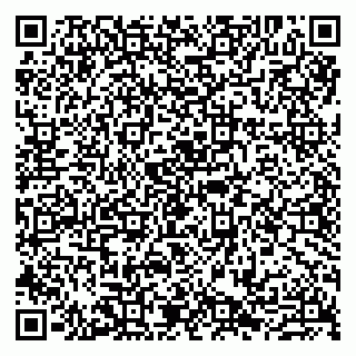 vCard 79807290709