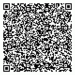 vCard 79807290710