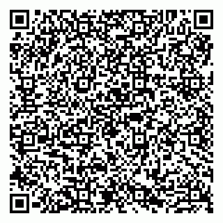 vCard 79807290714