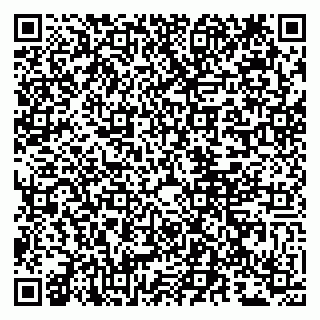vCard 79807290719