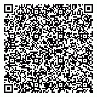 vCard 79807290729