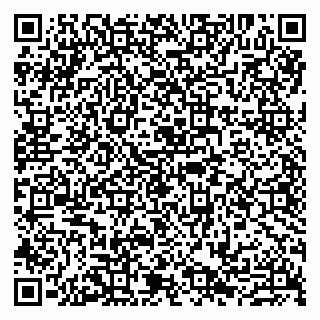 vCard 79807290771