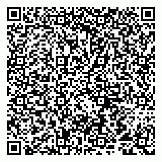 vCard 79807291209