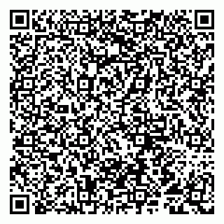 vCard 79807291234