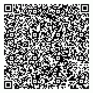 vCard 79807291271