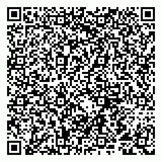 vCard 79807291300