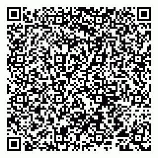 vCard 79807291310