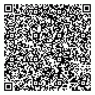 vCard 79807291321