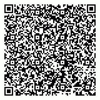vCard 79807291371