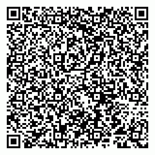 vCard 79807291378
