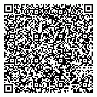 vCard 79807291387
