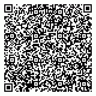 vCard 79807349385
