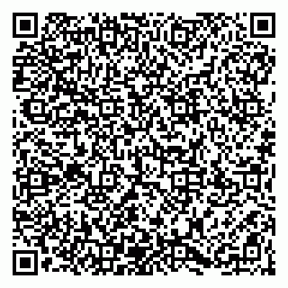 vCard 79807351090