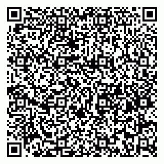 vCard 79807357497
