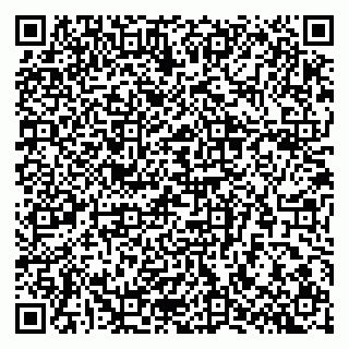 vCard 79807400131