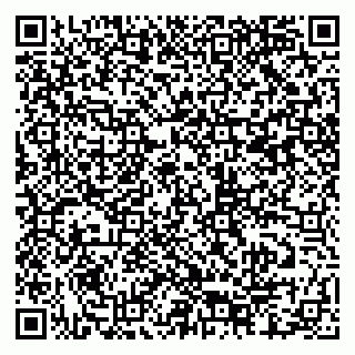 vCard 79807400151