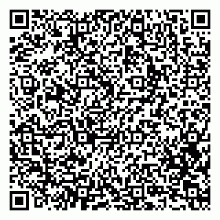 vCard 79807400173