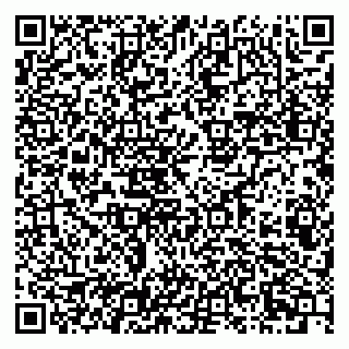 vCard 79807400211