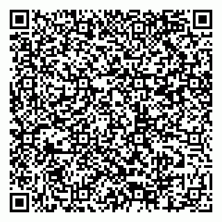 vCard 79807400217