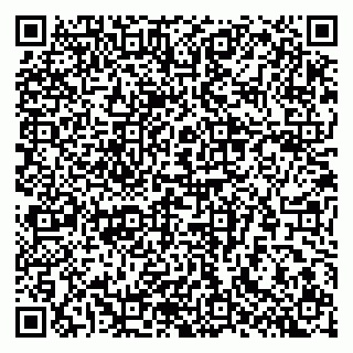 vCard 79807400265