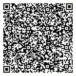 vCard 79807400271