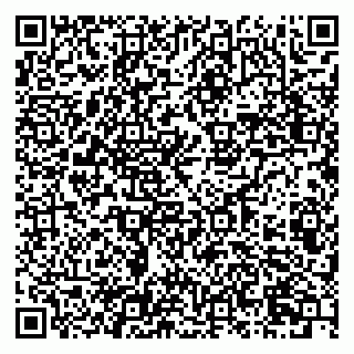 vCard 79807400272