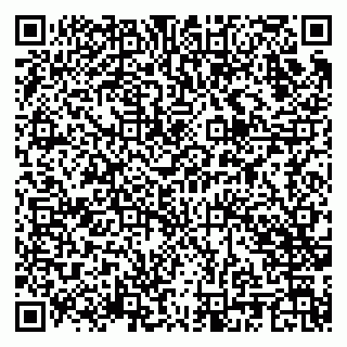 vCard 79807400291