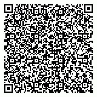 vCard 79807400295