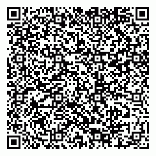 vCard 79807400311