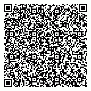 vCard 79807400317