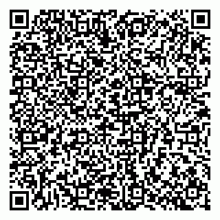 vCard 79807400331