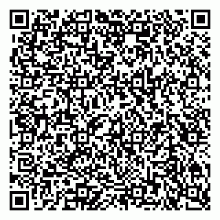 vCard 79807400333