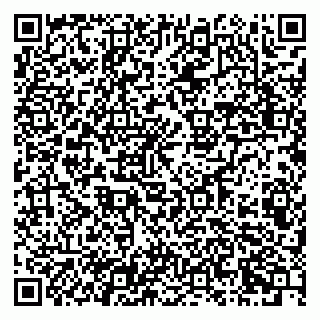 vCard 79807400379