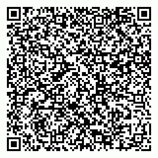 vCard 79807400381