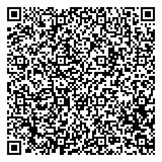 vCard 79807451875