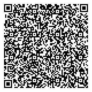 vCard 79807495873