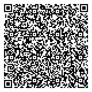 vCard 79807499037