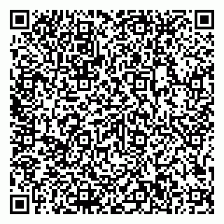 vCard 79807500013