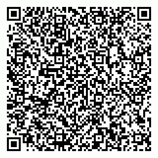 vCard 79807500041
