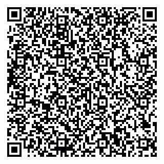 vCard 79807500093