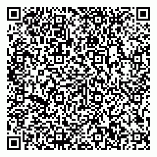vCard 79807500111