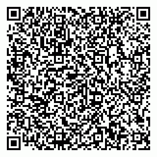 vCard 79807500119