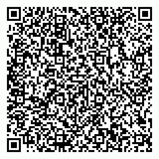 vCard 79807500131