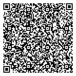 vCard 79807500132