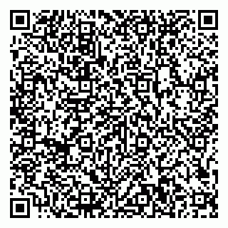 vCard 79807500133