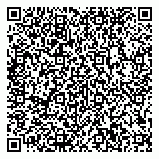 vCard 79807500173
