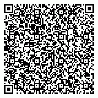 vCard 79807500176